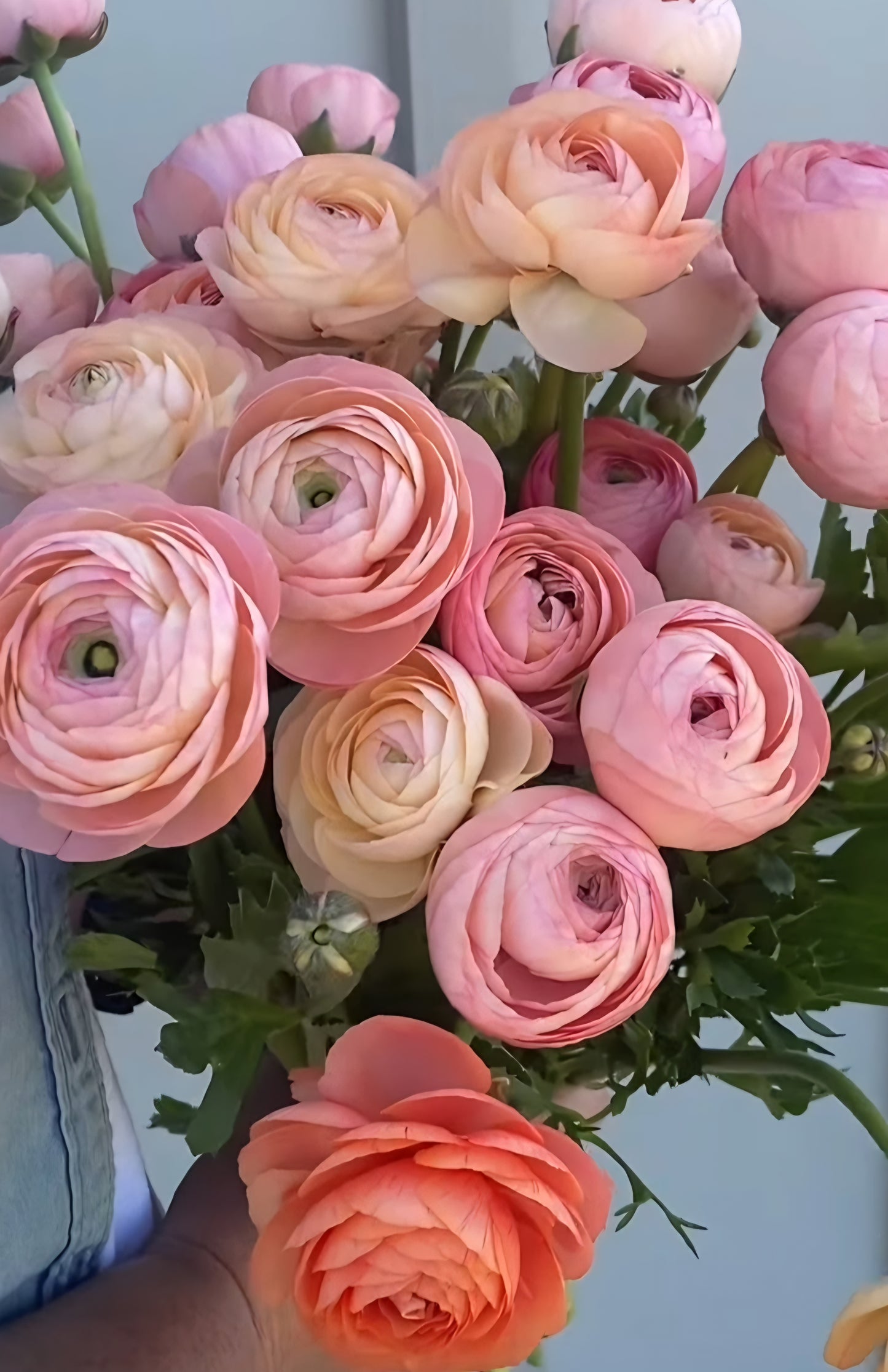 'The Bedside' Small Bouquet - Pickup Only
