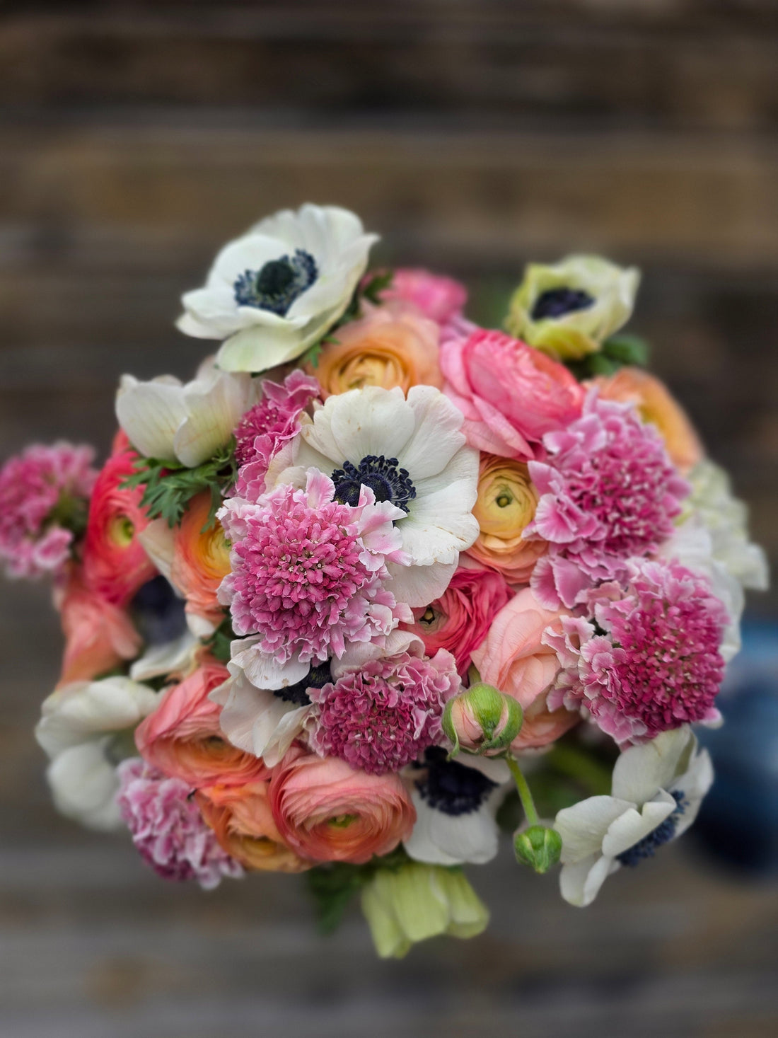From Dirt to Design: How a Love for Dahlias Rooted