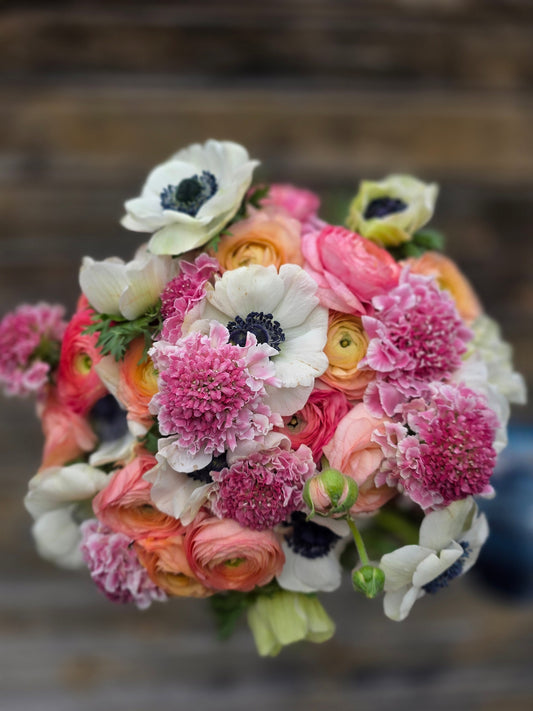 From Dirt to Design: How a Love for Dahlias Rooted