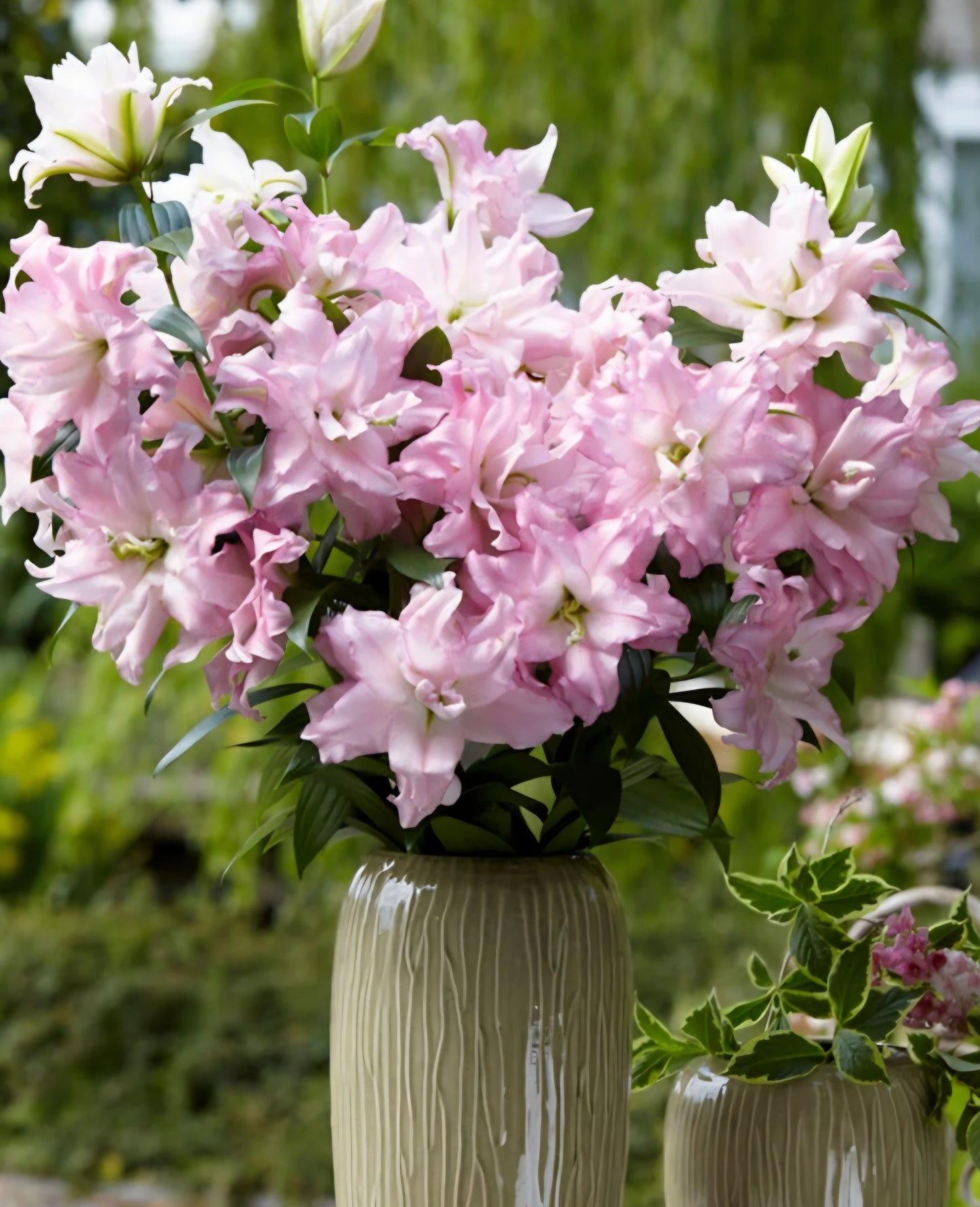 'The Statement' X-Large Bouquet - Pickup Only