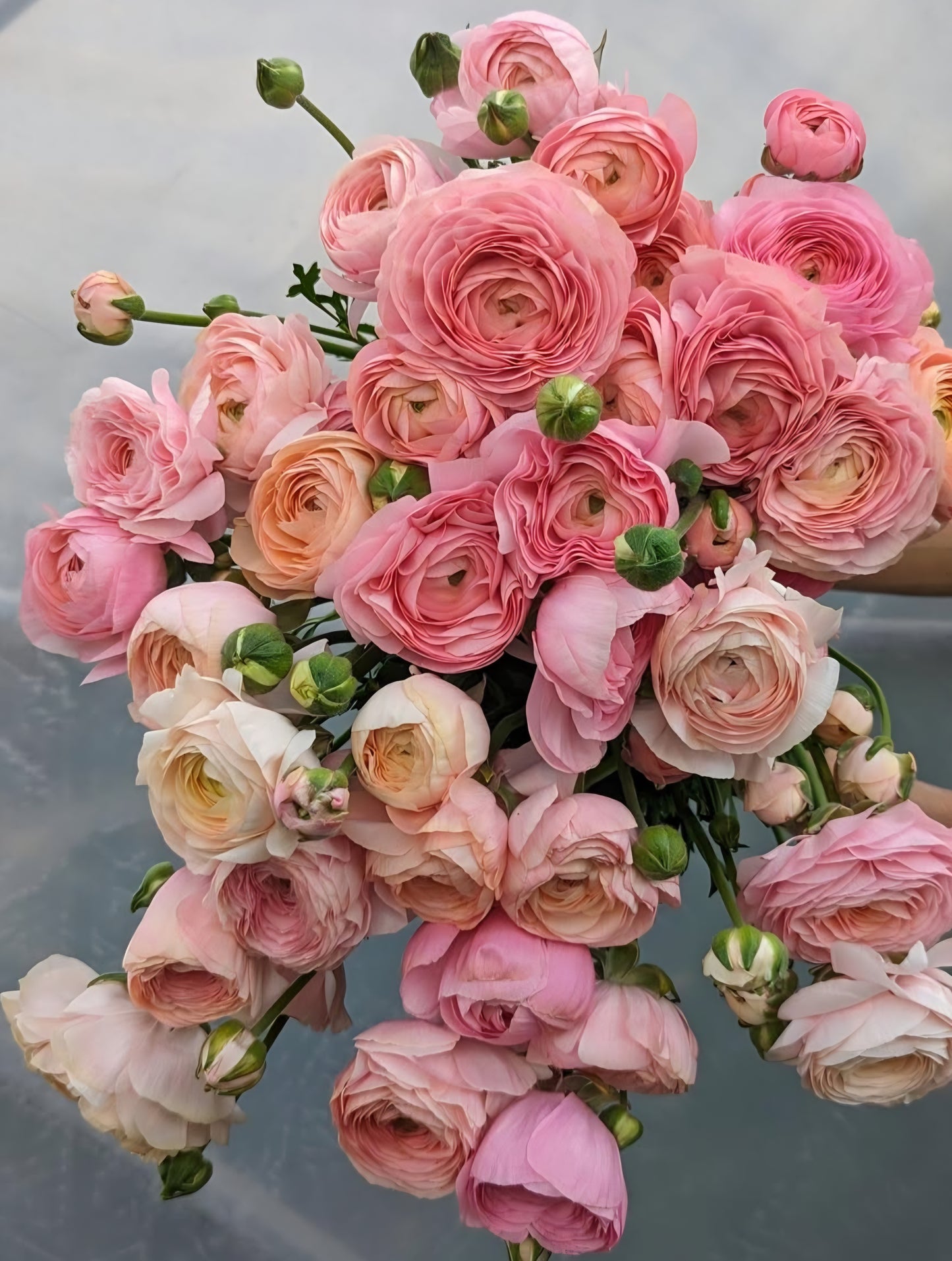 'The Statement' X-Large Bouquet - Pickup Only