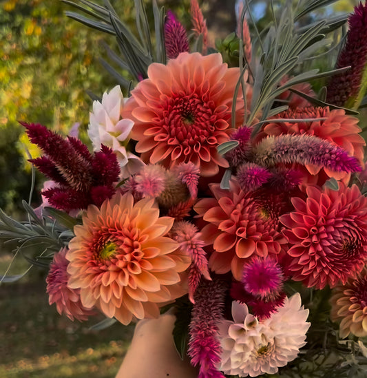 Summer Weekly Bouquet 6-Week Session